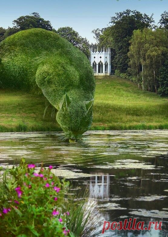 Всего одно фото: кот из выстриженных кустарников