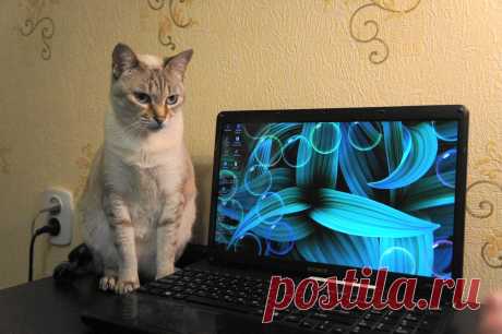 Какой же браузер выбрать...