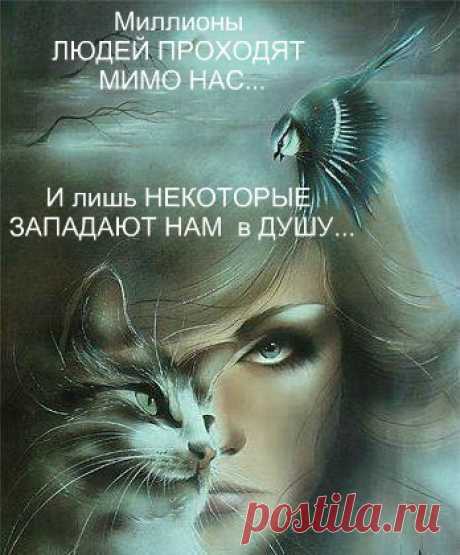 Как много тех, с кем так: &quot;Привет!&quot;, &quot;Пока!&quot;
И &quot;Как дела?&quot;- нас спросят для приличия.
Как мало тех, чья добрая рука
Пожмёт ладонь и без бабла наличия....
Как мало тех, с кем можно помолчать
И говорить часами - не наговориться!
По вздоху кто умеет отличать
Тебе сейчас &quot;чайку&quot; или &quot;напиться&quot;...
Все мы не праведны, нам свойственно любить
И ошибаться на пути - извилиста дорога.