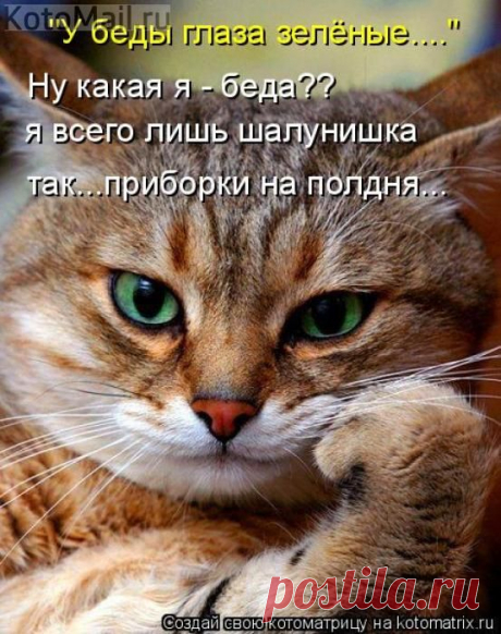 Всего лишь шалунишка. | KotoMail.ru