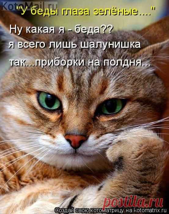 Всего лишь шалунишка. | KotoMail.ru