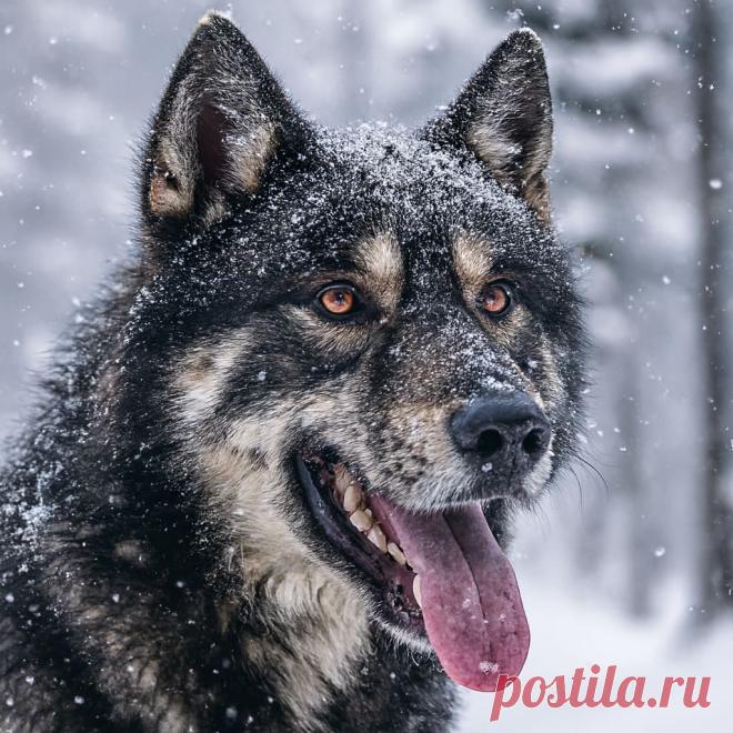 Проводник - OGADANIE.RU