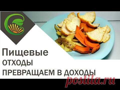 Пищевые отходы превращаем в доходы