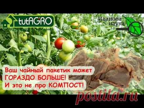 ЧЕРНЫЙ ЧАЙ - ЗАМЕНА &quot;ХИМИИ&quot;. Ваш пакетик с чаем МОЖЕТ ГОРАЗДО БОЛЬШЕ! - YouTube