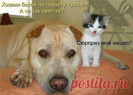 Лилия Советкина
