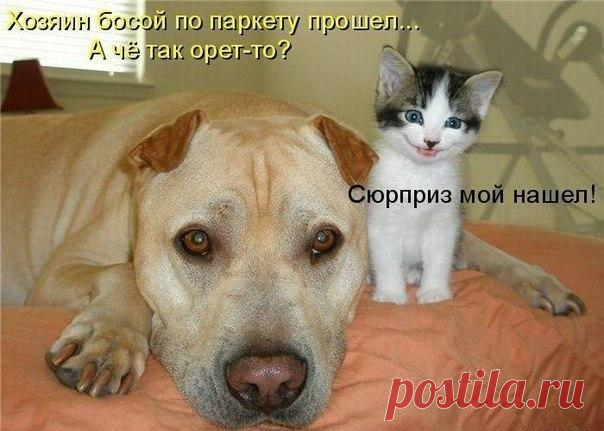 Лилия Советкина
