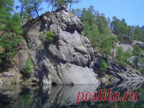 Лето | Фотографии Ксюша Ксюшина | 201 фото