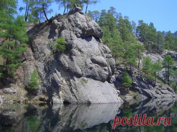 Лето | Фотографии Ксюша Ксюшина | 201 фото