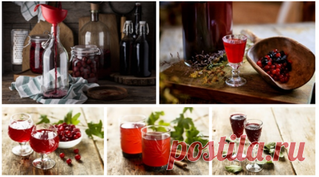 3 рецепта домашней наливки