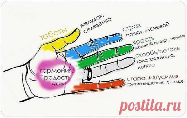 Секрет гармонии тела и души! Оказывается, человеческие органы неразрывно связаны с пальцами.Джин шин джитсу – это древняя форма японского искусства исцеления | Узнал сам - расскажи другому.