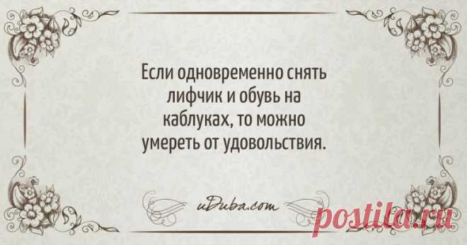 Потрясающе остроумные одностишья Haтальи Резник Наталья Резник – поэт не по диплому, эмигрант с 20-летним стажем и просто человек с большим опытом. В своих одностишьях она не шутит, а пишет серьёзно и с блестящим юмором, ничего не придумывая, а всего лишь пропуская жизнь через себя.