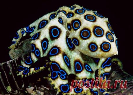 Кликабол. Всё самое интересное - здесь