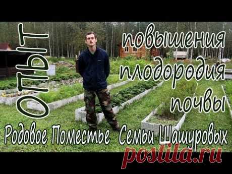 Опыт повышения плодородия почвы в Родовом Поместье семьи Шашуровых