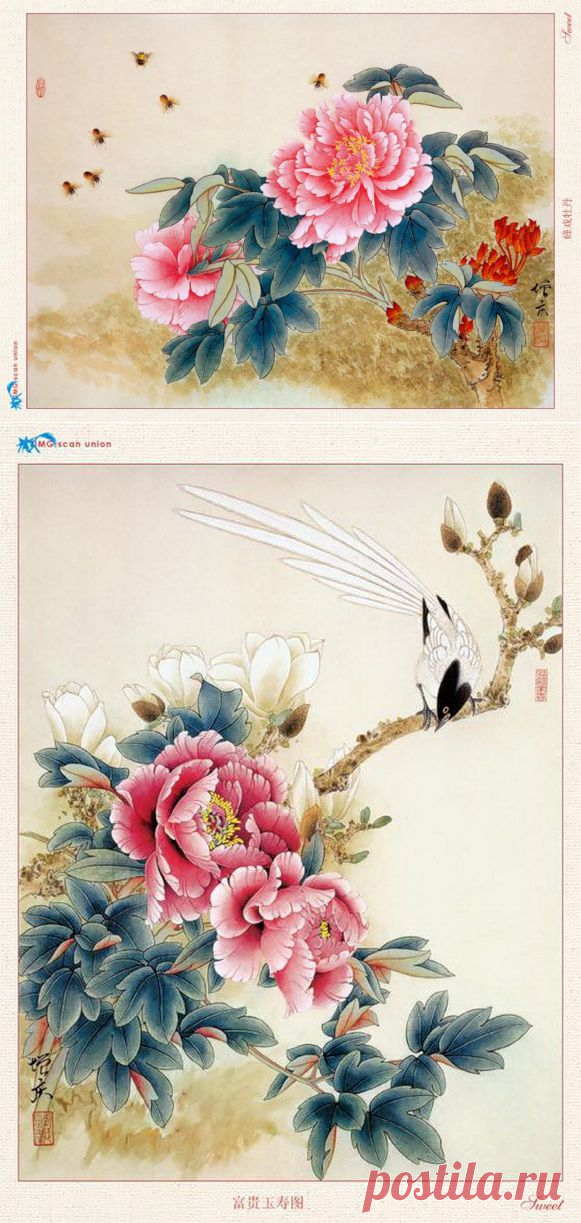 Нежные пионы от китайского художника Guo Zen Qing.