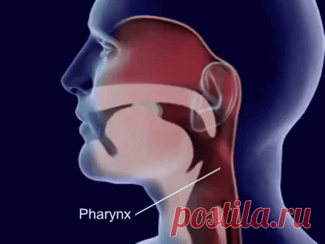 Гигиена российских женщин: что вводит в изумление европеек - медиаплатформа МирТесен