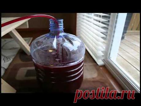 Как сделать домашнее виноградное вино (видео)