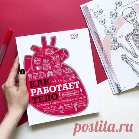 Одна из наших самых любимых энциклопедий по анатомии «Как работает тело» снова в продаже! Лето — это время новых открытий, долгих прогулок и, конечно, новых знаний! Найдите время на изучение того, что давно хотелось. Например, строения человеческого тела. Энциклопедия сделана в форме инструкции к телу человека, наполнена подробными схемами и иллюстрациями. В книге рассматриваются все системы организма, кроме того, есть интересные факты о работе той или иной системы. Авторы-составители…