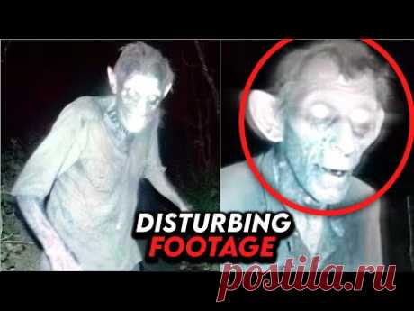 Most DISTURBING Forest Encounters You've Ever Seen