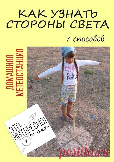 Как определить стороны света. 7 способов