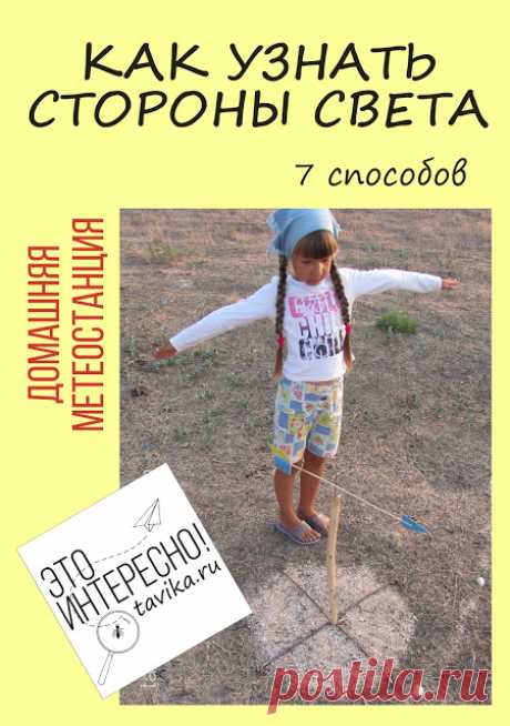 Как определить стороны света. 7 способов