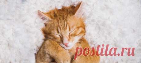 Разрешите себе ничего не делать и не испытывать угрызений совести. Это может принести хорошие плоды.