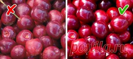 10 способов с одного взгляда определить, химический продукт или натуральный