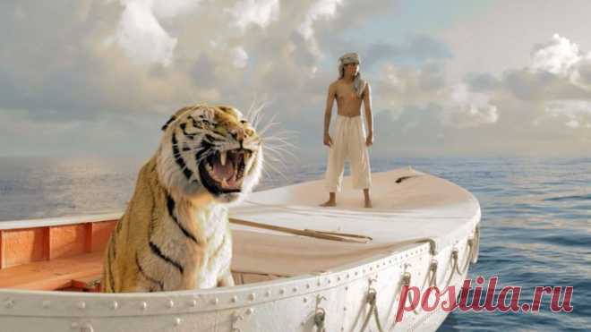 Вид фильмов без спецэффектов / Шоубиз