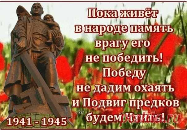 Яндекс Картинки: поиск по изображению