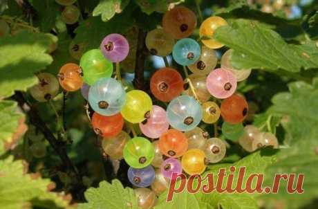 Как влияет цвет пищи на больных? | Human psychology