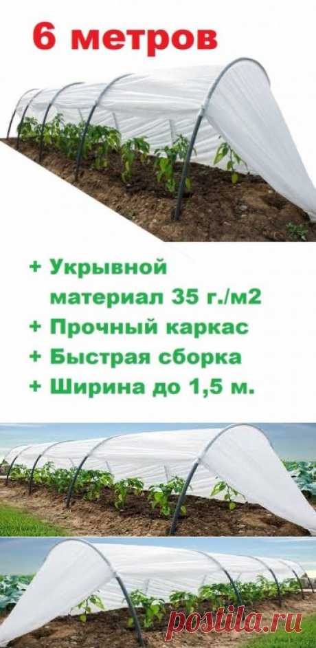 Парник теплица быстровозводимая 6 метров, Прочная устойчивая дуга диметром 20 мм. из поликкарбоната. Края дуг заостреные для комфортного монтажа. Легкость и быстрота монтажа позволит существенно сохранить ваше время. Укрывное покрытие из соверменного нетканного материала Спанбонд плостостью 35 г/кв.м. обеспечивает идеальный микроклимат для рассады внутри парника. многолетники для сада