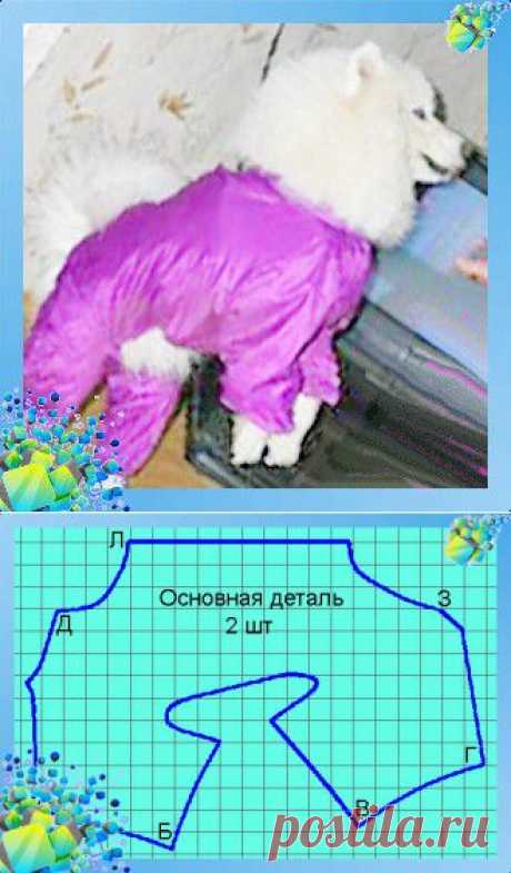 Комбинезон для собаки. Выкройка 9