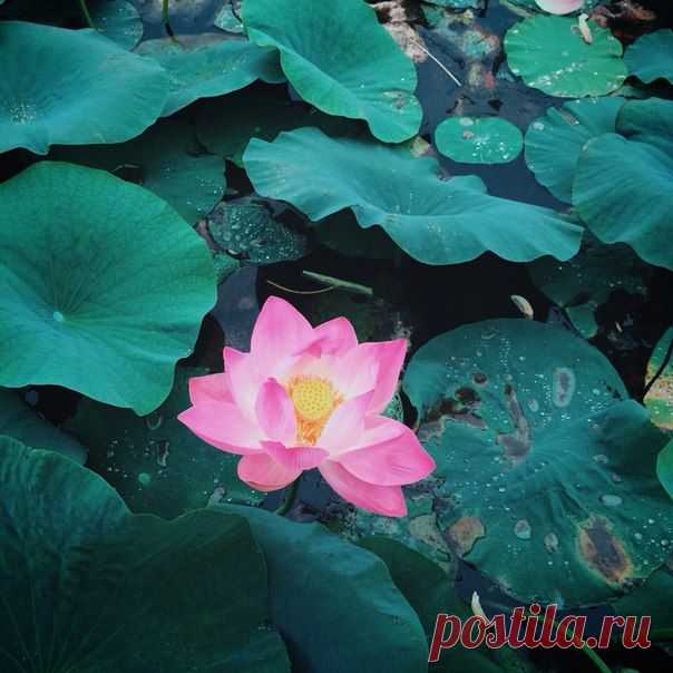 Приморье today