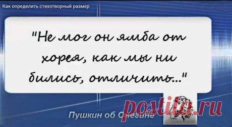 Репетиторы