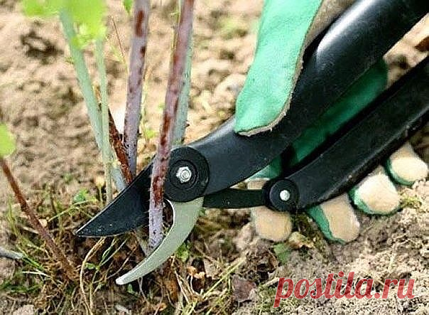 (32) Одноклассники