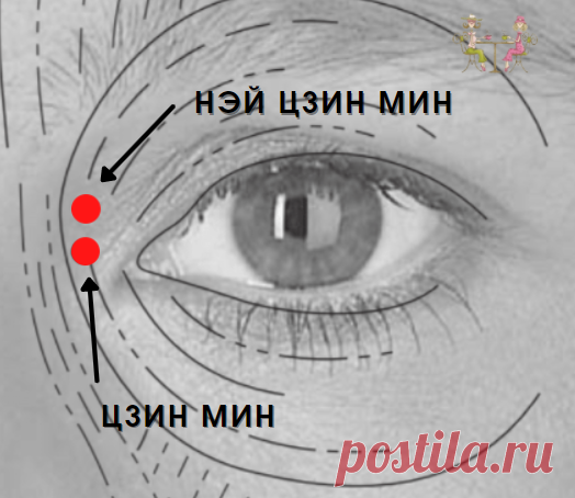 Массаж всего одной точки поможет улучшить и сохранить остроту зрения до преклонных лет | Беседы о жизни за чашечкой кофе | Яндекс Дзен