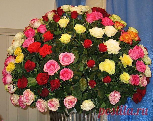 Красивые Цветы  Для Тебя