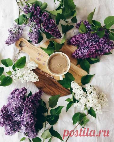 КАКОЙ СЕГОДНЯ ПРАЗДНИК? 12 Мая 2019 г. – Воскресенье • Международный день матери (Mother`s Day)109 лет • День жён-мироносиц • Международный день медицинской сестры (International Nurses Day)120 лет • День ежиного сопения • День осведомлённости о синдроме хронической усталости • День экологического образования28 лет • День памяти девяти святых мучеников Кизических • День осведомлённости о фибромиалгии (Fibromyalgia Awareness Day)Фестиваль котов (Каттенстут) - Бельгия • День Государственного…