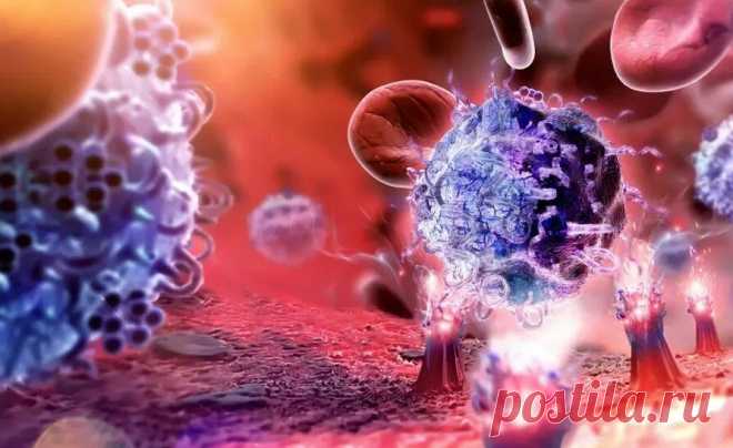 В чем причина 80 аутоиммунных заболеваний?
Всем привет! У меня неизлечимое аутоиммунное заболевание, которое называется витилиго. Буквально вчера я написал статью об этом, где попытался рассказать об основных факторах появления этой болезни. Мое аутоиммунное заболевание длится уже почти 20 лет и пока, ни я, ни медицина, ни наука, ничего не можем с этим поделать. Был проделан большой путь по определению реальной […]
Читай пост далее на сайте. Жми ⏫ссылку выше