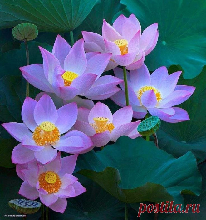 Редактировать описание