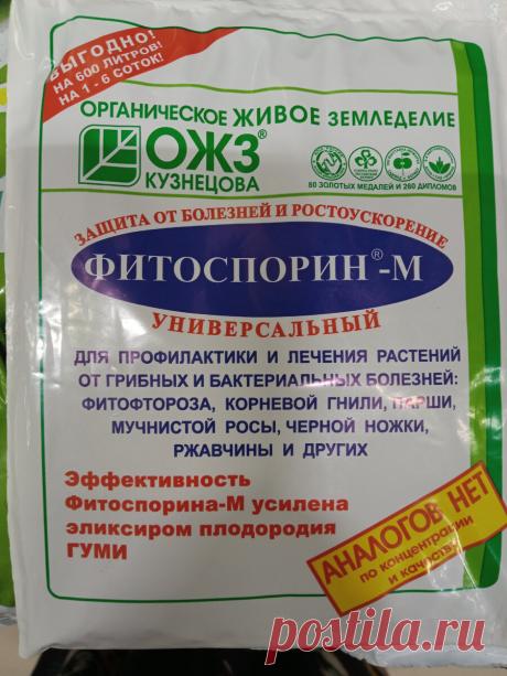 Вы не любите Фитоспорин? Да вы просто не умеете его готовить | Цветочная няша | Дзен