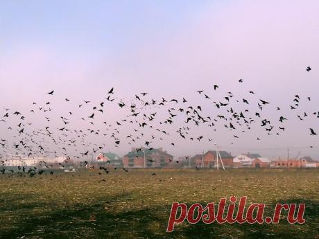 Из миров параллельных... - 8 Ноября 2015 - Персональный сайт