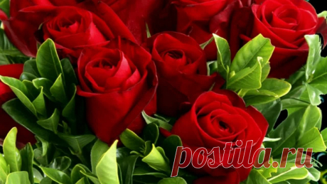 Поздравления (@magnolia0903) TikTok | Смотреть свежие видео Поздравления в TikTok
