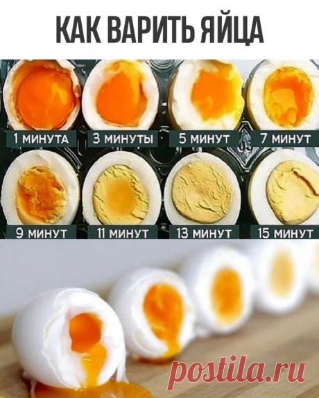 Яичный белок «полноценный» — содержит все незаменимые для организма аминокислоты