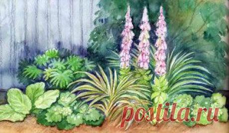 Варианты цветников в тени | Дача - впрок