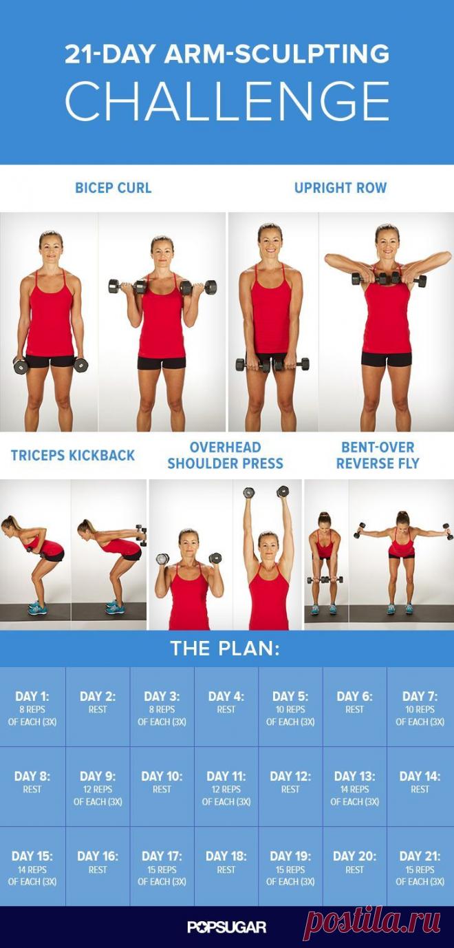 3-Weeks-to-Sculpted-Arms Challenge