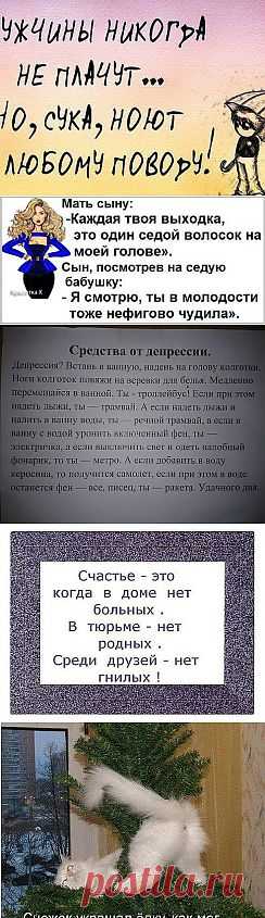 Одноклассники