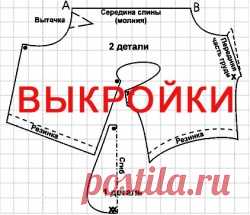 Курсы кройки и шитья: комбинезоны, попоны, жилеты. Шьем одежду для собак сами