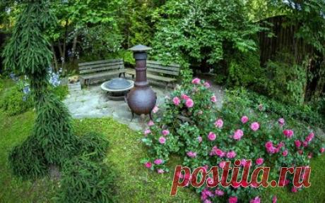 Семена, саженцы, удобрения: товары для дачников на форуме Сибмама. Приглашаем за полезными покупками в раздел «Коммерческие предложения» - Совместная покупка. Обзоры СП на Сибмаме