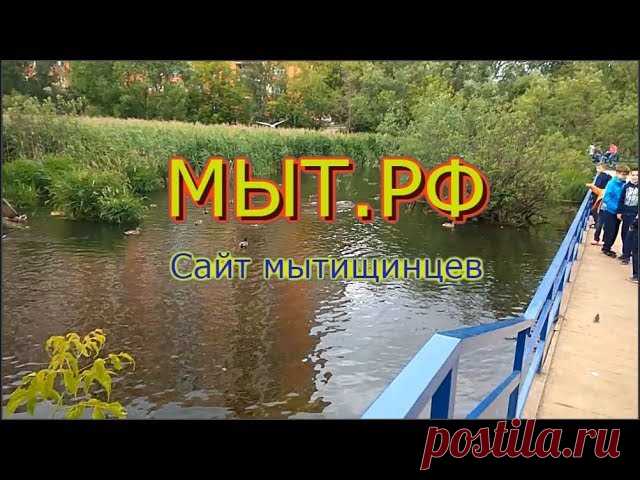 На Новомытищинском проспекте обнаружен труп | Новости Дома 49
https://www.youtube.com/watch?v=6dj7dINg_Zc