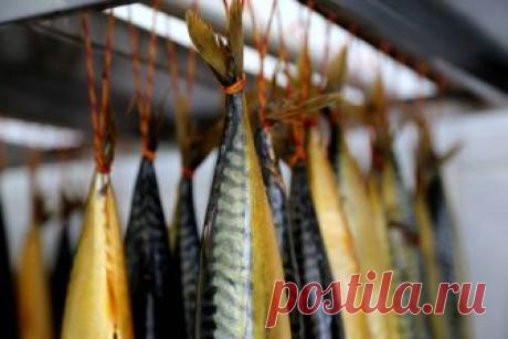 Горячее копчение рыбы и морепродуктов